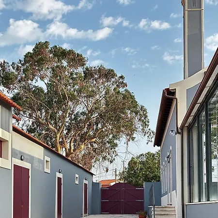 Quinta Soizas - Sao Martinho * Alfeizerao