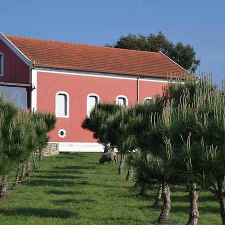 Quinta Das Soizas - Sao Martinho *