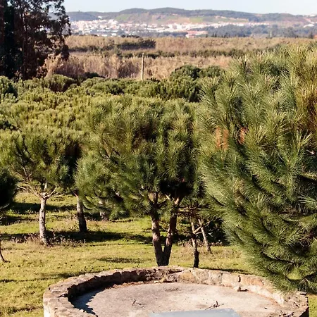 Quinta Soizas - Sao Martinho *