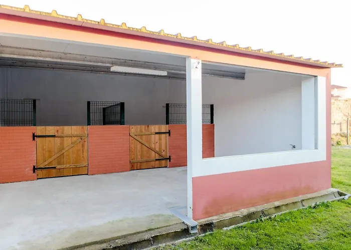 Quinta Soizas - Sao Martinho * Alfeizerão